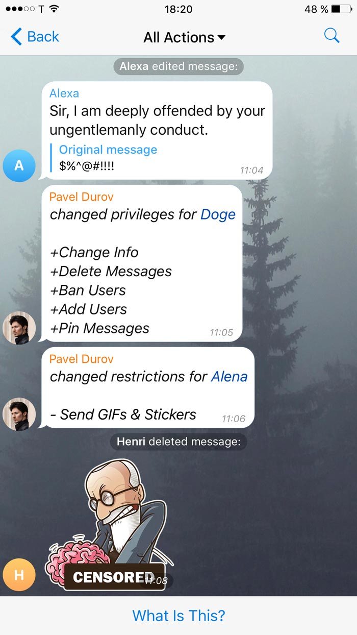 Acciones recientes canal o grupo Telegram