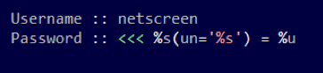 netscreen-backdoor