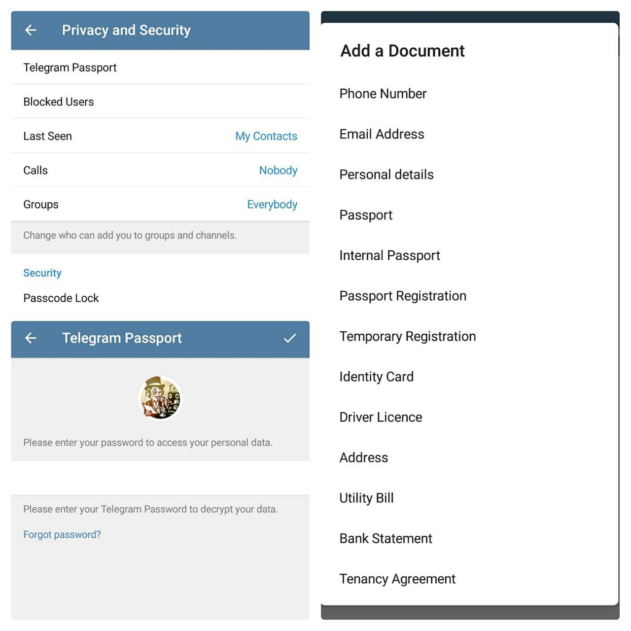 Telegram-Passport-Android-beta