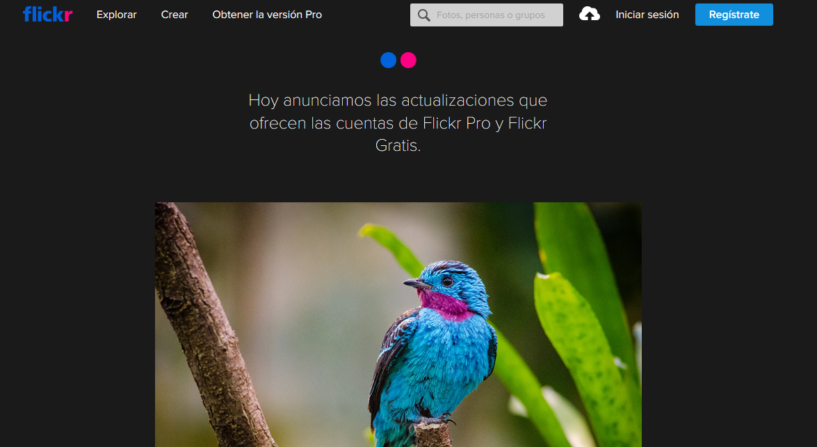 Flickr limitará a los usuarios gratuitos a solo poder subir 1000 fotos y videos Flickr-1000-fotos-videos-usuarios-gratis