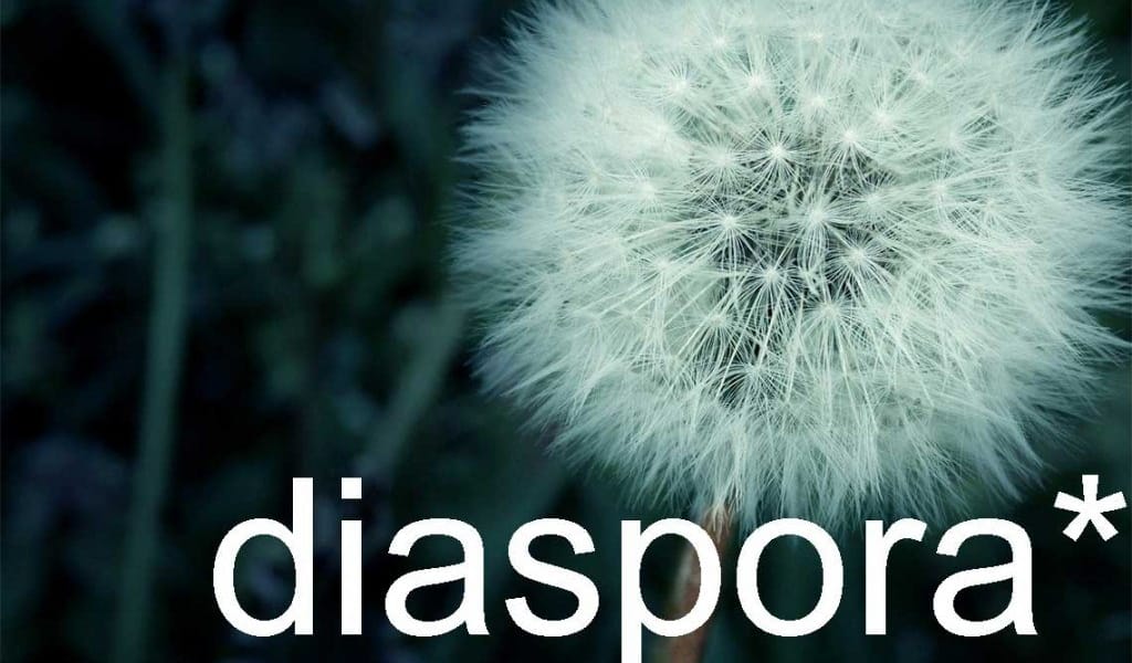 ¿Qué es Diaspora? Quieres crear un Pod?