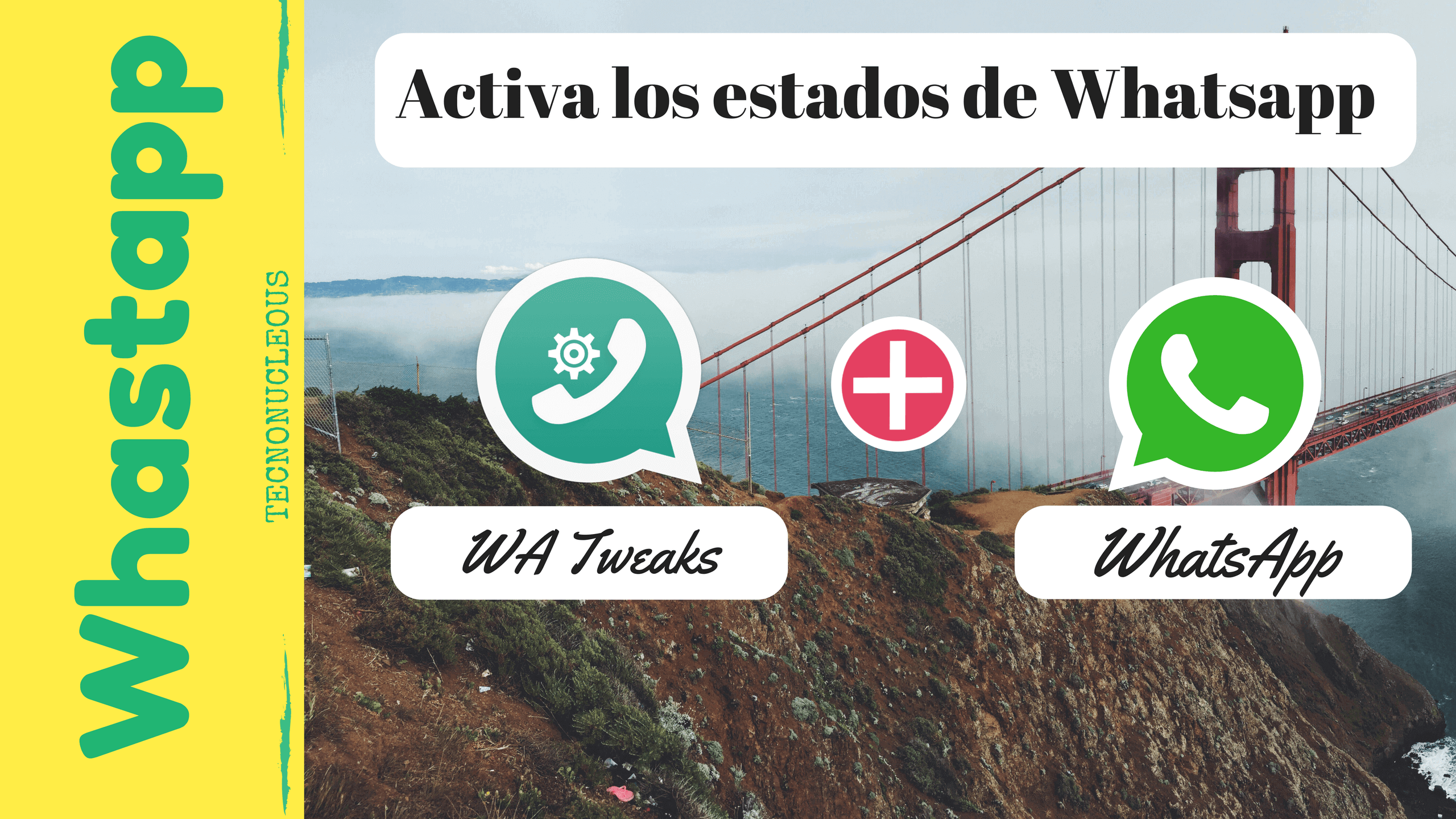 Que es WhatsApp Status y como activarlo?