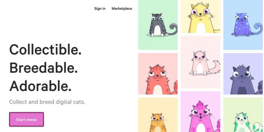 Inversores apostaron 12 millones de dólares por CryptoKitties: Las ventas están cayendo en picado