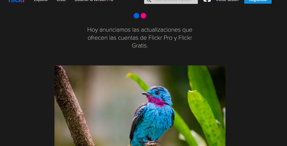Flickr limitará a los usuarios gratuitos a solo poder subir 1000 fotos y videos