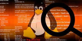 Dos bugs en el Kernel de Linux permitían ataques DDoS: Ya estánan parcheados