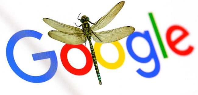 Dragonfly el nuevo buscador de Google para China
