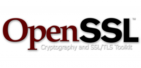 Descubren una vulnerabilidad en OpenSSL que podría provocar una denegación de servicio
