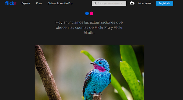 Flickr limitará a los usuarios gratuitos a solo poder subir 1000 fotos y videos