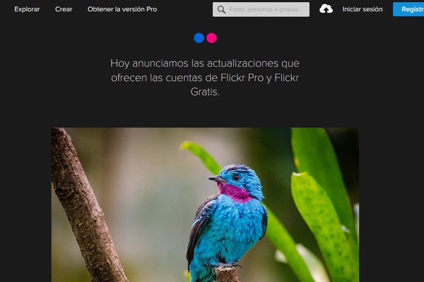 Flickr limitará a los usuarios gratuitos a solo poder subir 1000 fotos y videos