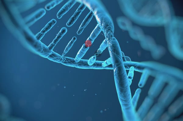 Investigador Chino dice que creó los primeros bebés genéticamente modificados del mundo